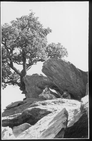 Open original Digital object