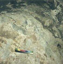 UOC SRZ 02 187H