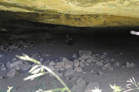 Open original Digital object