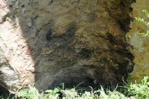 Open original Digital object