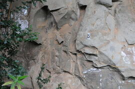 UKH RSA SEB1 8D
