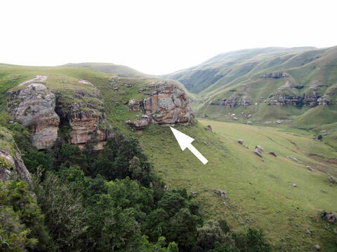 Open original Digital object