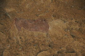UKH RSA MKF24 27D