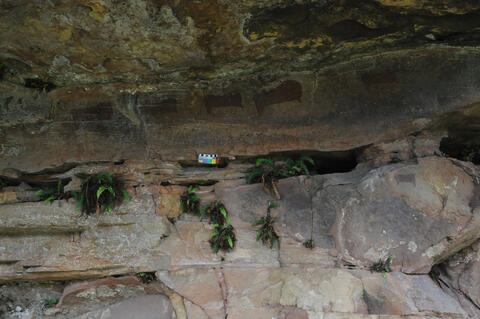 Open original Digital object