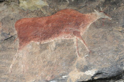 Open original Digital object