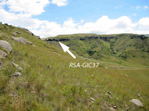 Open original Digital object