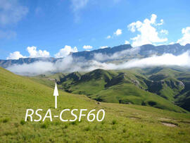UKH RSA CSF60 1D