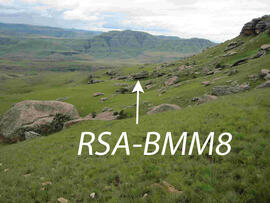UKH RSA BMM8 1D