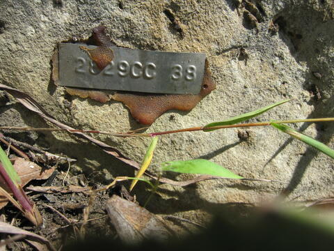 Open original Digital object