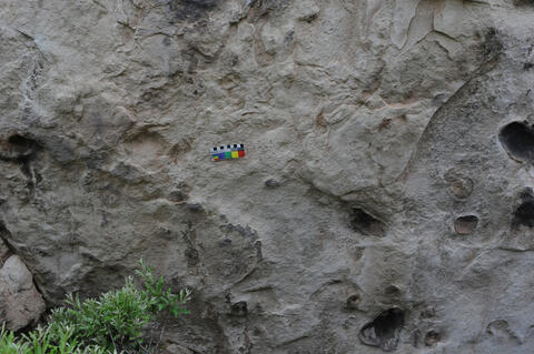 Open original Digital object