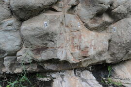 UKH RSA SEB1 11D