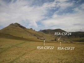UKH RSA CSF27 1D