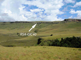 UKH RSA GIC40 1D