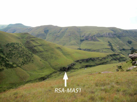 Open original Digital object