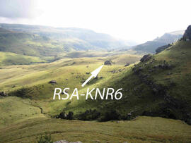 UKH RSA KNR6 1D