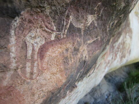 Open original Digital object