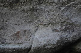 UKH RSA CSF25 15D