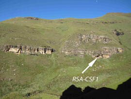 UKH RSA CSF2 1D
