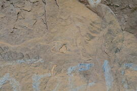 UKH RSA LOS1 25D
