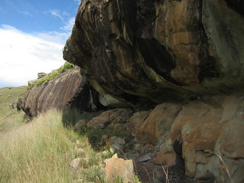 Open original Digital object