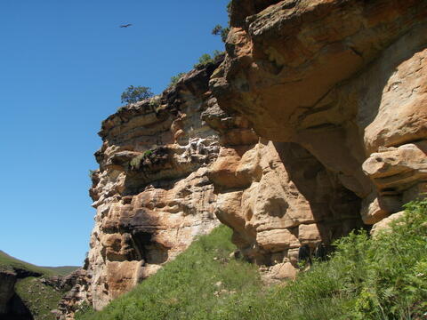 Open original Digital object