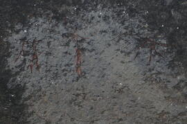 UKH RSA RNN4 8D