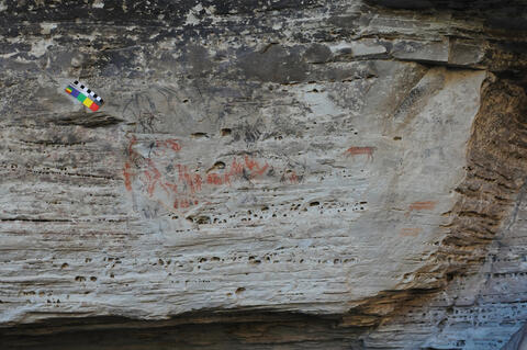 Open original Digital object