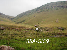 UKH RSA GIC9 1D