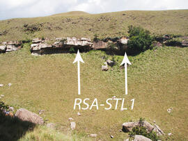 UKH RSA STL1 1D