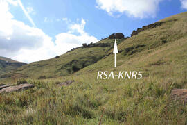 UKH RSA KNR5 1D
