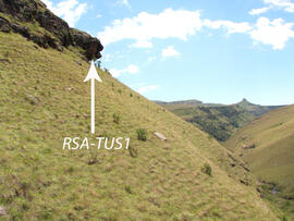 UKH RSA TUS1 1D