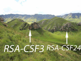 UKH RSA CSF24 1D