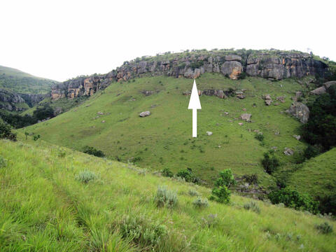 Open original Digitaal object