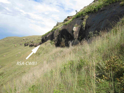 Open original Digital object