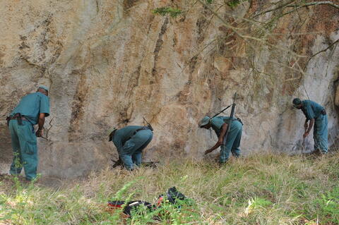 Open original Digital object