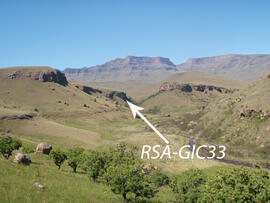 UKH RSA GIC33 1D