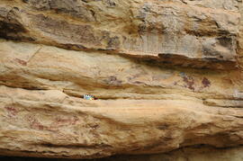 UKH RSA NUT1 15D