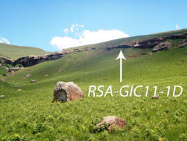 UKH RSA GIC11 1D