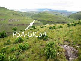 UKH RSA GIC54 1D