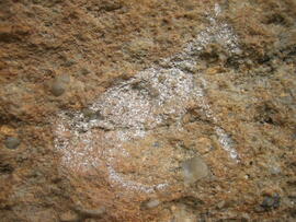 UKH RSA CSF66 9D