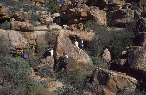 Open original Digital object