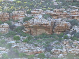 UCT RSA KHF5 5D