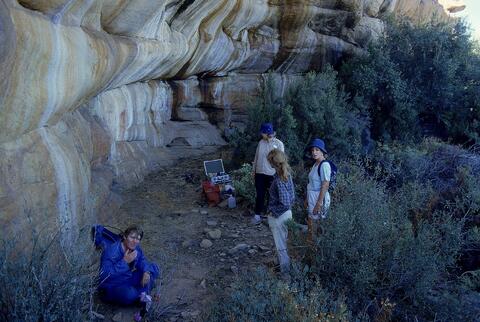 Open original Digital object