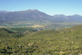 UCT RSA LGE1 1