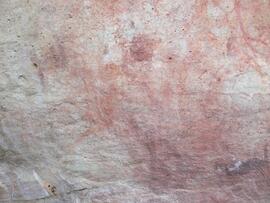 UCT RSA ELI17 207D