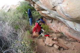 UCT RSA NAT1 7D