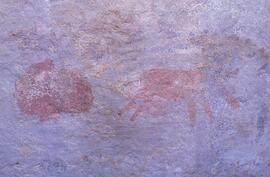 UCT RSA ELI17 24