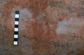 UCT RSA SEV37 19