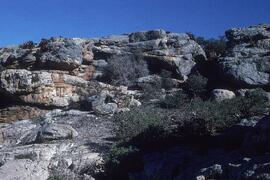 UCT RSA WDF2 1