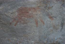 UCT RSA ELI17 42D